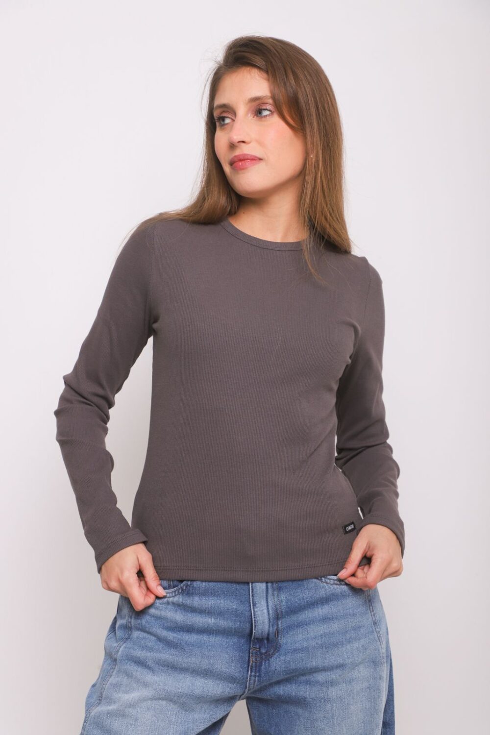 ART. A-120 | REMERA MANGA LARGA GRIS BASICO MORLEY ALGODÓN - Imagen 6