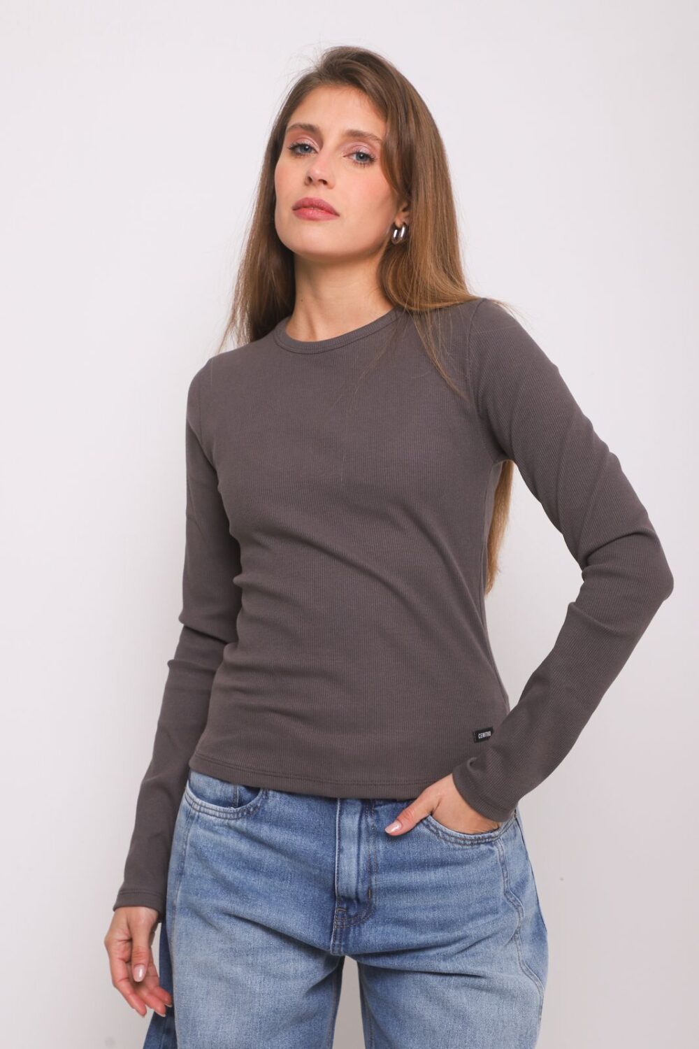 ART. A-120 | REMERA MANGA LARGA GRIS BASICO MORLEY ALGODÓN - Imagen 2
