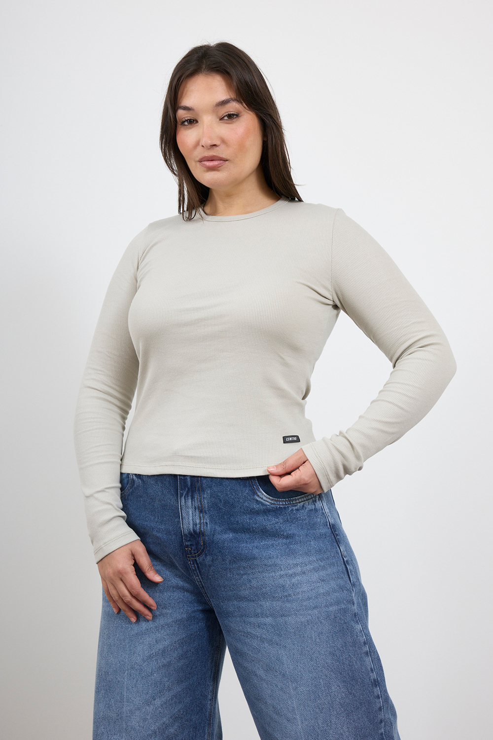 e-729 (1) ART. E-729 | REMERA MANGA LARGA BEIGE BASICO MORLEY ALGODON - Imagen 1